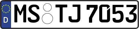 MS-TJ7053