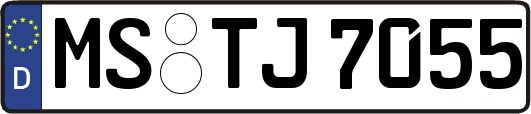 MS-TJ7055