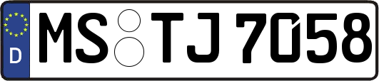 MS-TJ7058