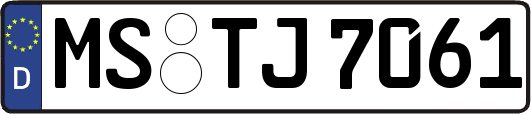 MS-TJ7061