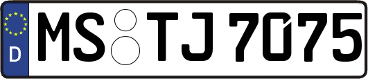 MS-TJ7075