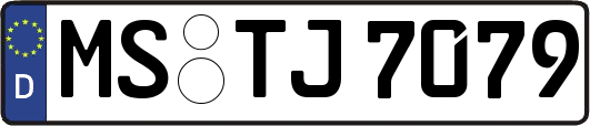 MS-TJ7079
