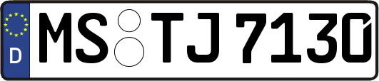 MS-TJ7130