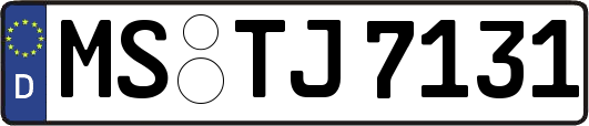 MS-TJ7131