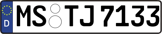 MS-TJ7133