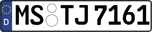 MS-TJ7161