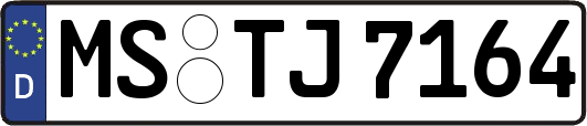 MS-TJ7164