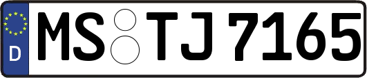MS-TJ7165