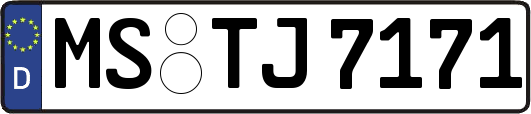 MS-TJ7171