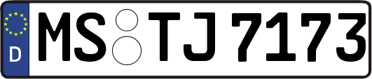 MS-TJ7173