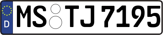MS-TJ7195