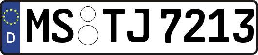 MS-TJ7213