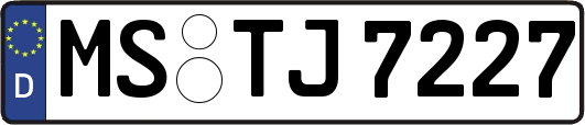 MS-TJ7227