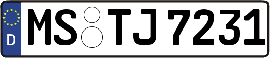 MS-TJ7231