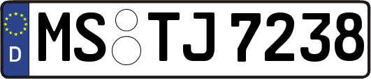 MS-TJ7238