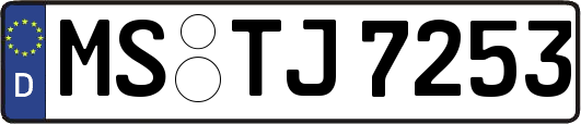 MS-TJ7253