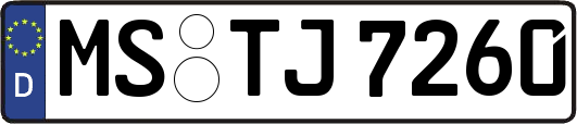 MS-TJ7260