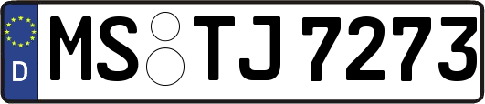 MS-TJ7273