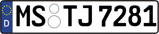 MS-TJ7281