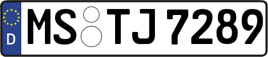 MS-TJ7289