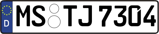 MS-TJ7304