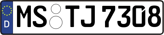MS-TJ7308