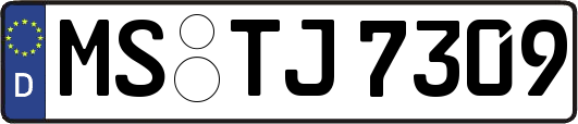 MS-TJ7309
