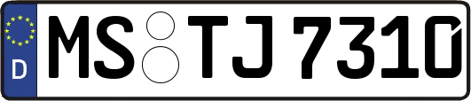 MS-TJ7310