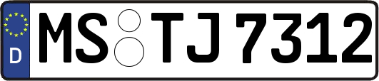 MS-TJ7312