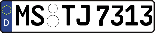 MS-TJ7313