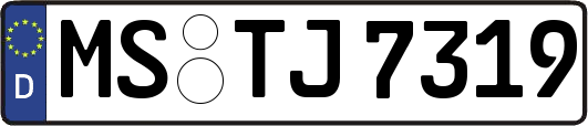 MS-TJ7319