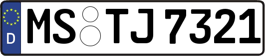MS-TJ7321