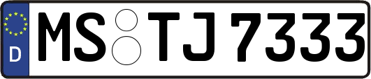 MS-TJ7333