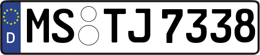 MS-TJ7338