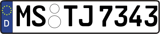 MS-TJ7343