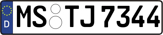 MS-TJ7344