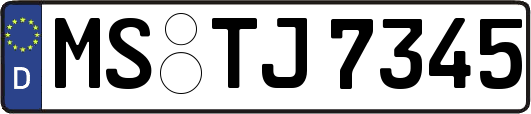 MS-TJ7345