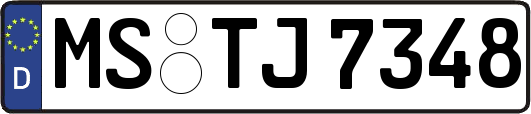 MS-TJ7348