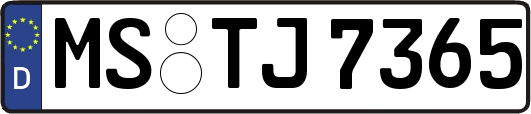 MS-TJ7365