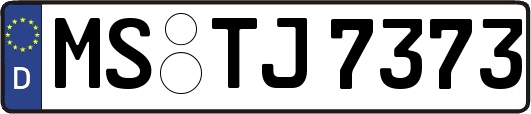 MS-TJ7373