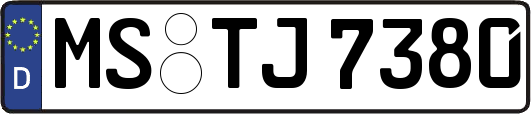 MS-TJ7380