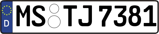 MS-TJ7381