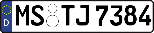 MS-TJ7384