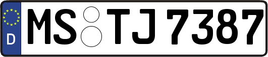 MS-TJ7387