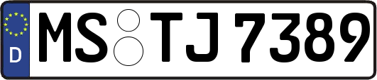 MS-TJ7389