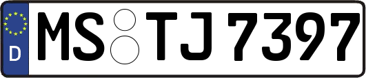 MS-TJ7397