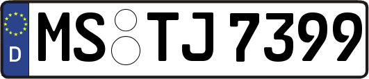 MS-TJ7399