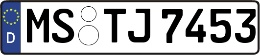 MS-TJ7453