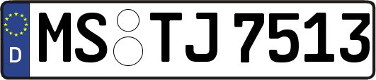 MS-TJ7513