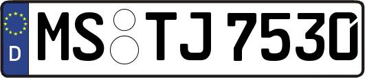 MS-TJ7530